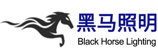 扬州黑马照明有限公司